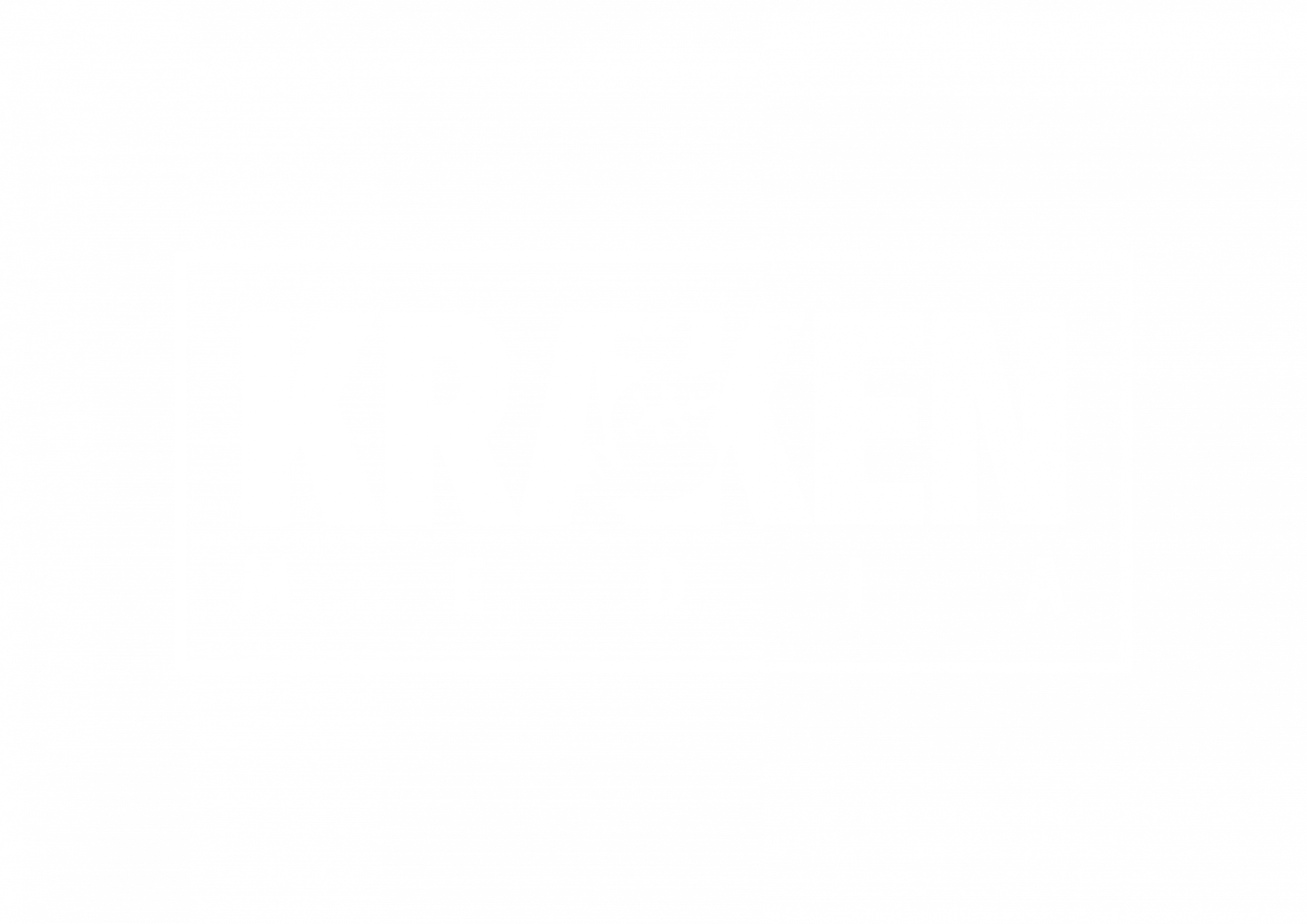 Light Logo